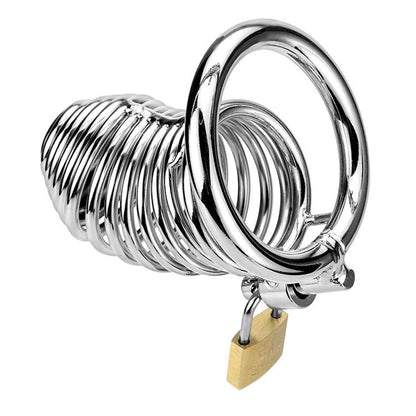 The Ring Dong Metal Chastity Device