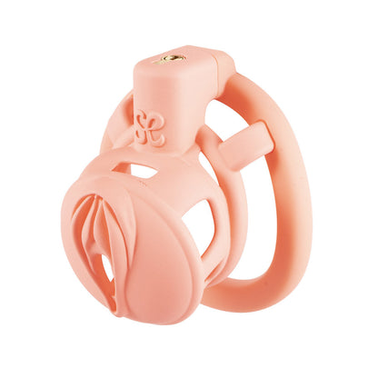 3D  Pussy Chastity Cage