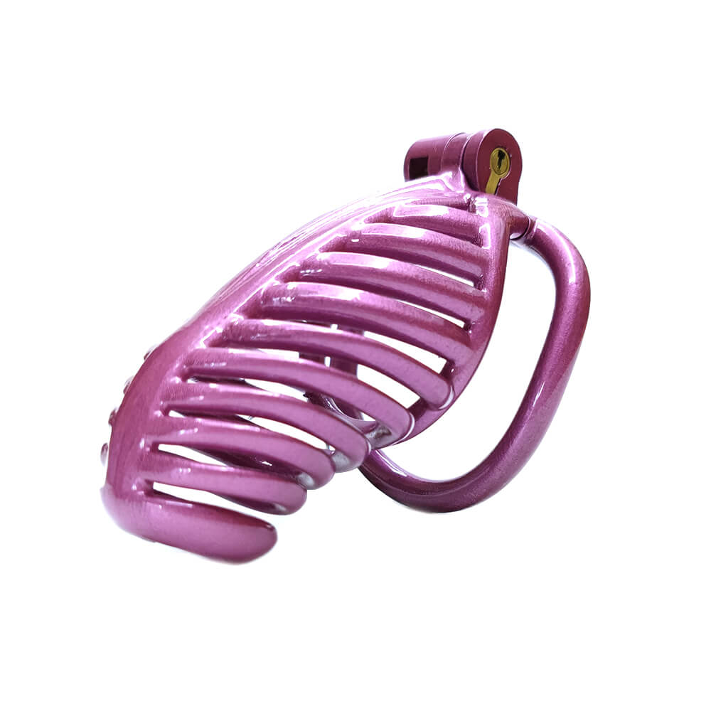 3D Sexy Purple Chastity Devices Cock Cage