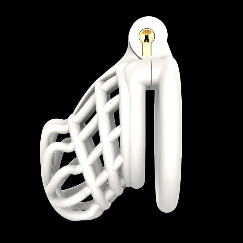 3D Stegosaurus Spine Bone Chastity Device Kit