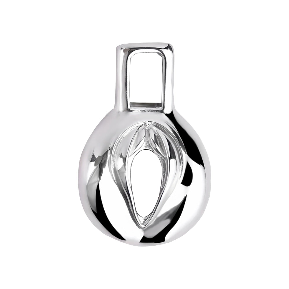 Pussy Chastity - Steel Clitty Chastity Cage with Belt