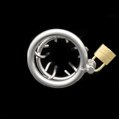 Stainless Steel Spiked Chastity Cage