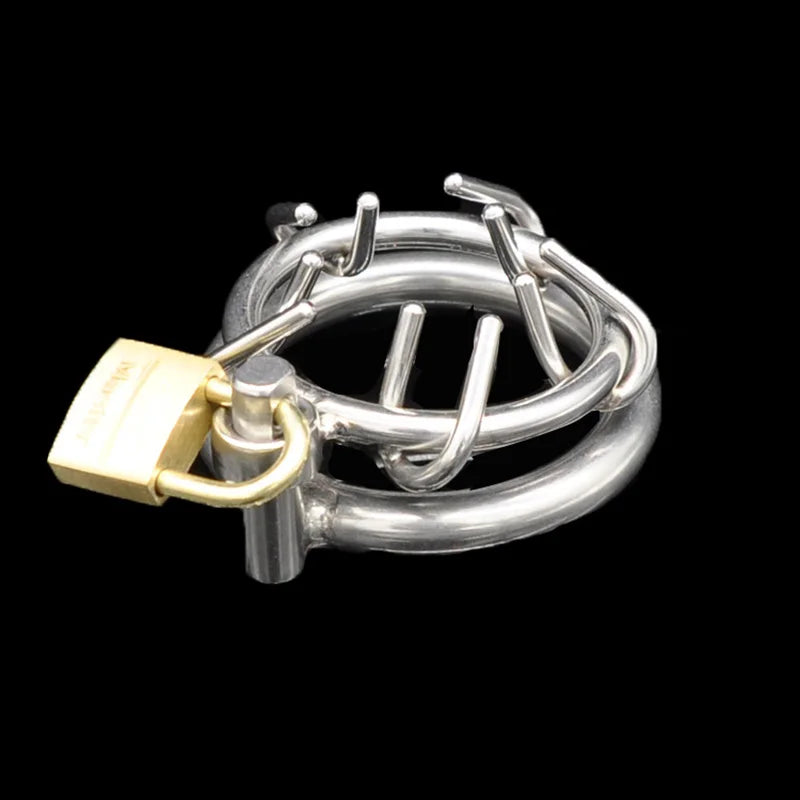 Stainless Steel Spiked Chastity Cage