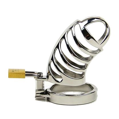 The Sexless Inn Keeper Metal Chastity Device 3.35 inches long