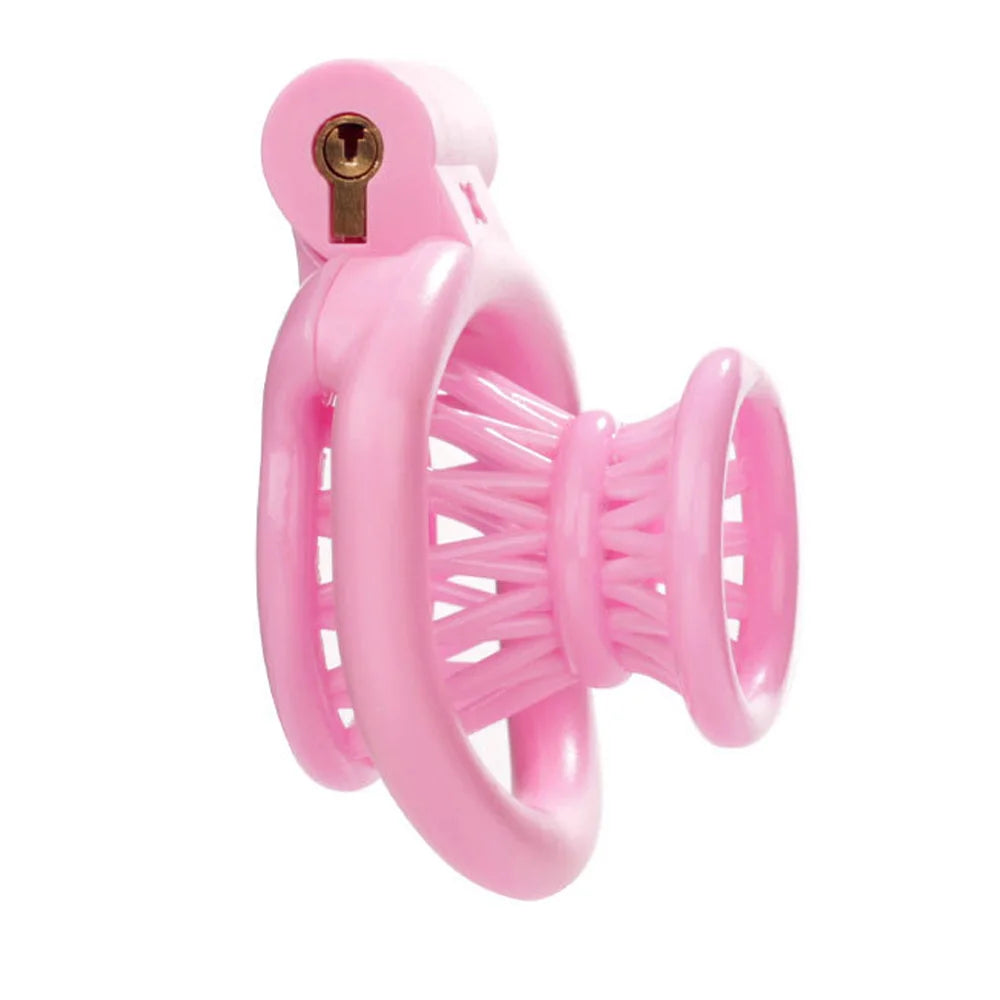 Inverted Chastity Cage With 4 Size Cock Rings