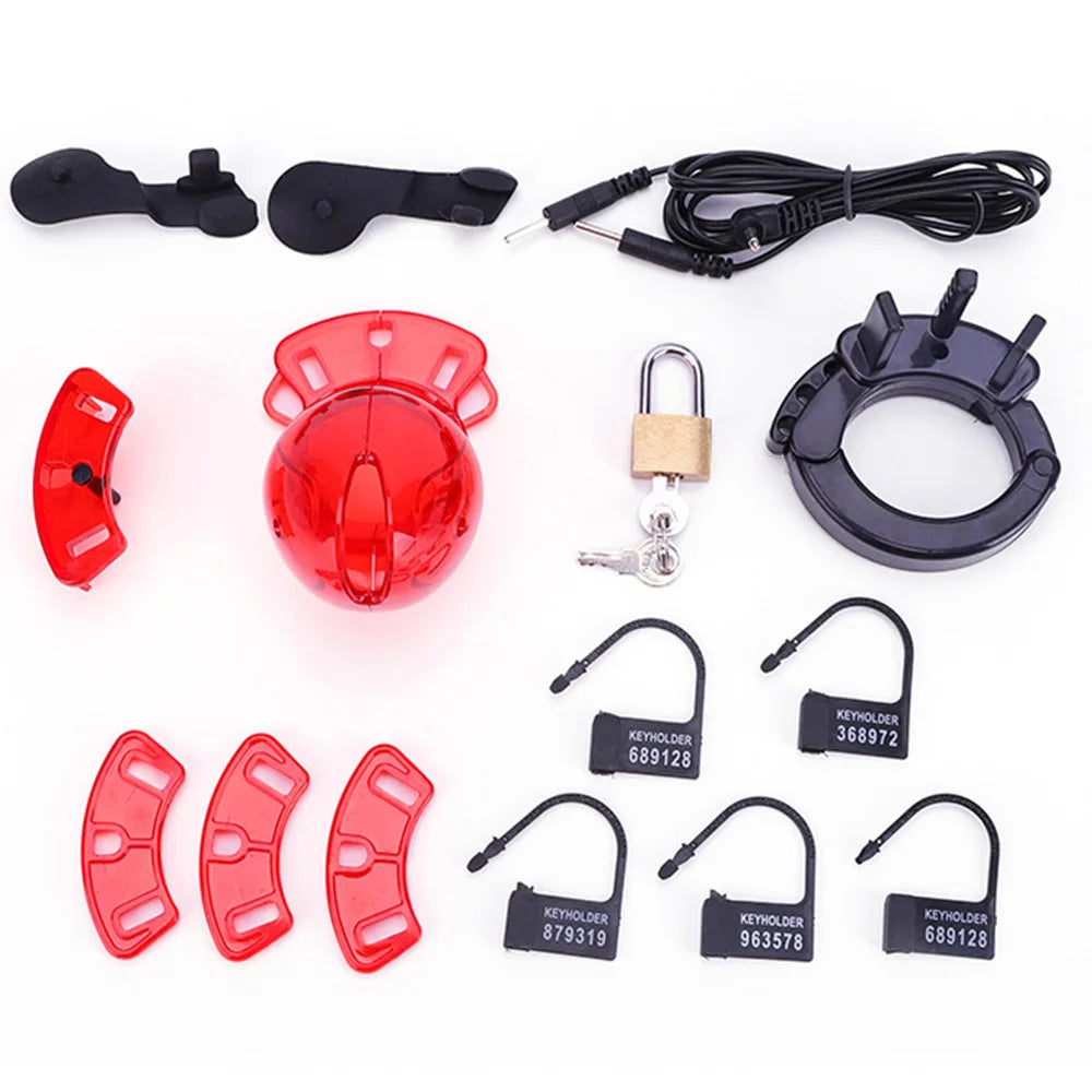 Wireless Remote Electric Shock CB6000 Cock Cage