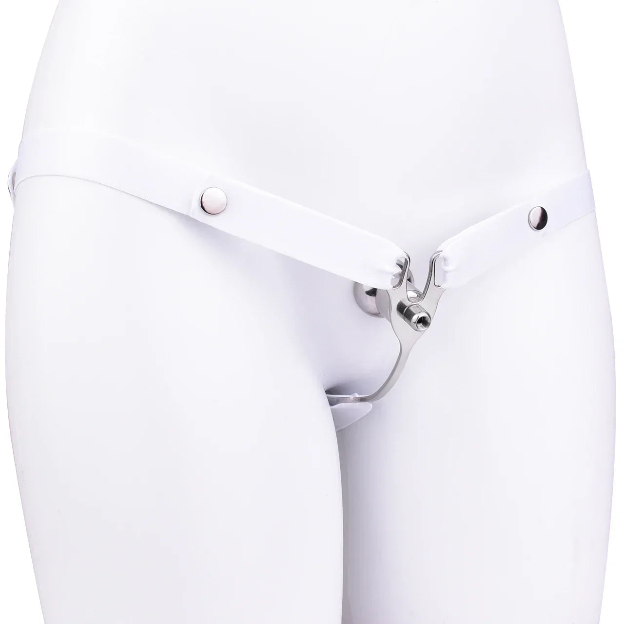 Male to Female Transformation Chastity Belt