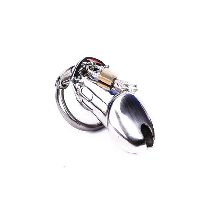 Metal Chastity Cage 3.74 inches long (All 3 Rings Include)