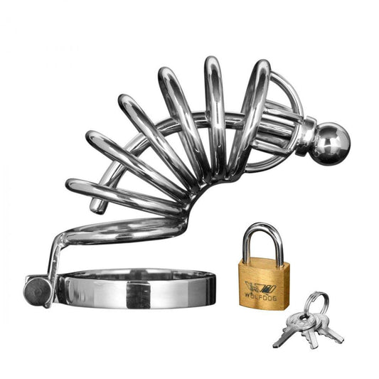 Asylum 6 Rings Locking Chastity Cage