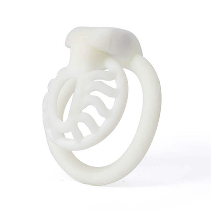 BDSM 3D Printing Sun Spider Chastity Device