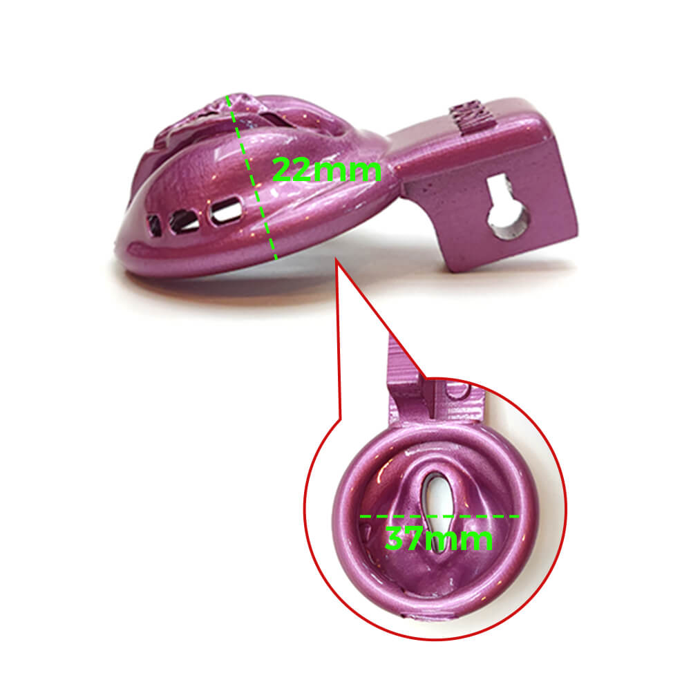 BDSM Vaginal Chastity Devices Cage