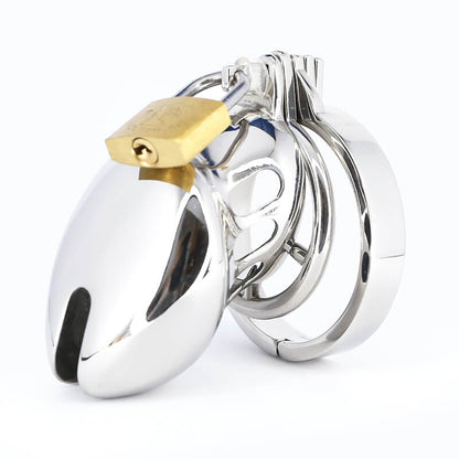 Bondage Stainless Steel Chastity Cage With Spike Ring