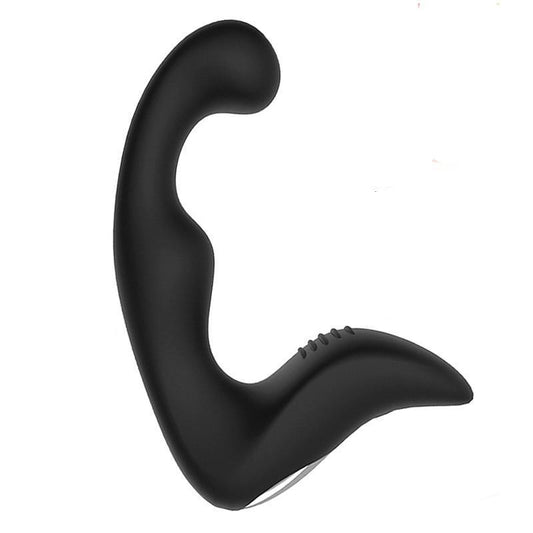 10 Speed Anal Vibrator & Prostate Massager