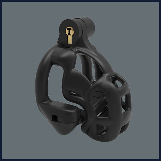 New 3D Print Double Lock Chastity Device