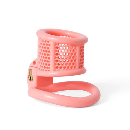 New Upgrade 3D Honeycomb Printed Chastity Device