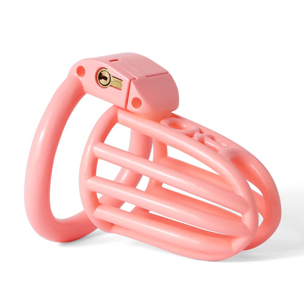 Prison Slave 3D Printed Lightweight Chastity Device