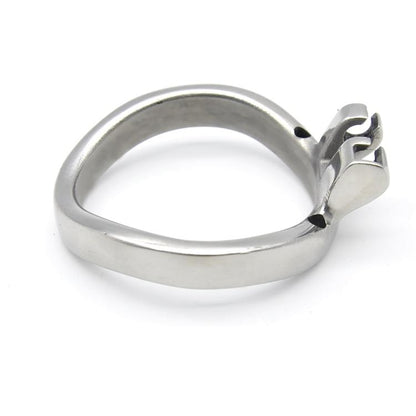 Accessory Ring for Rings of Abstinence Male Chastity Device