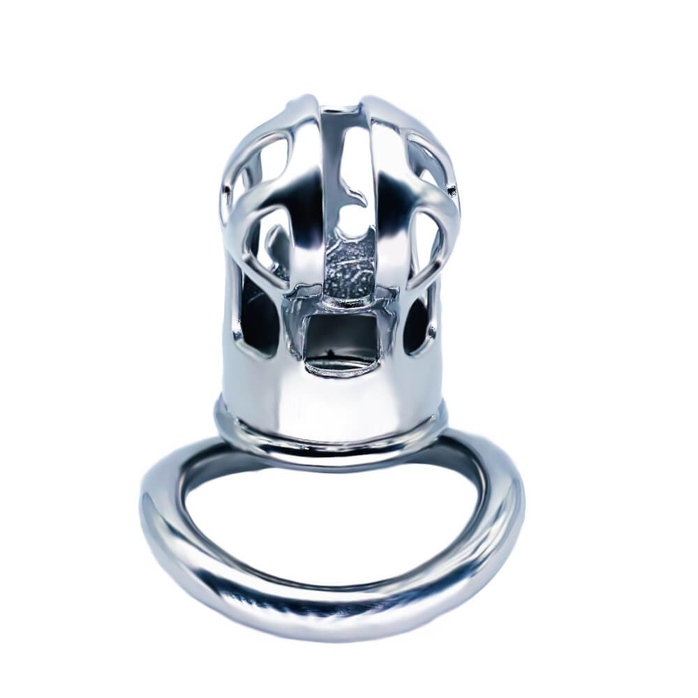 CC73 Men's stainless steel arc ring chastity lock