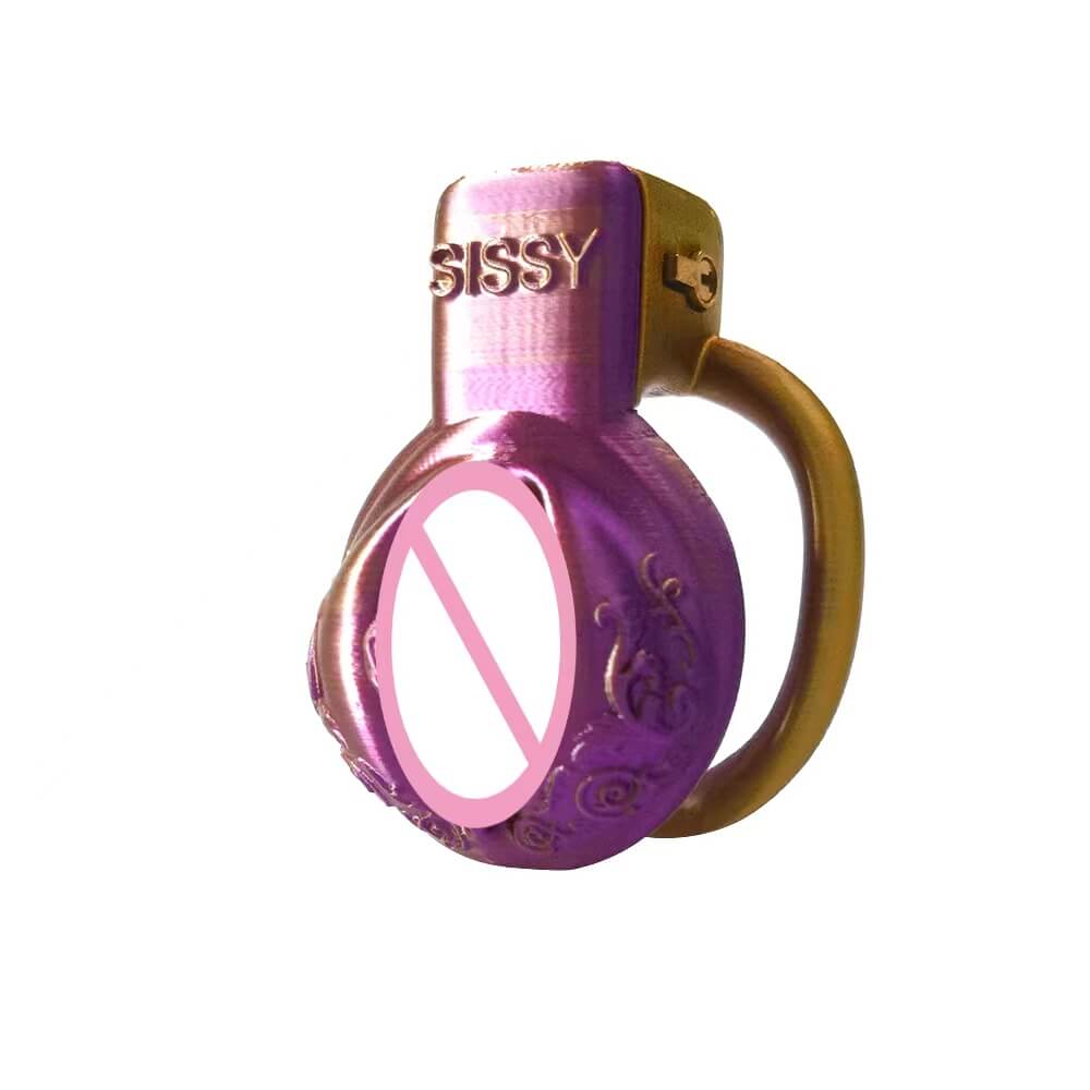 Pussy Vaginal Mix Color Chastity Cage