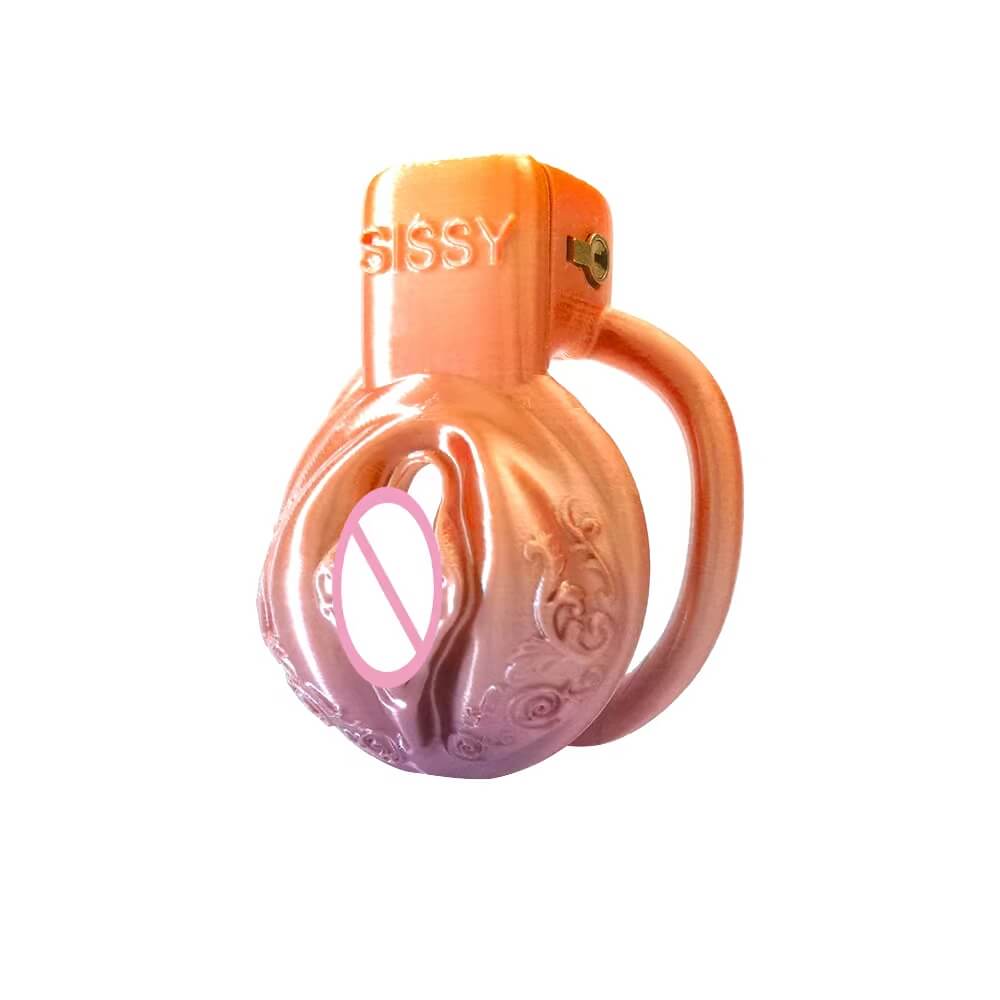 Pussy Vaginal Mix Color Chastity Cage