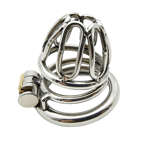 Small Stainless Steel Male Chastity Device