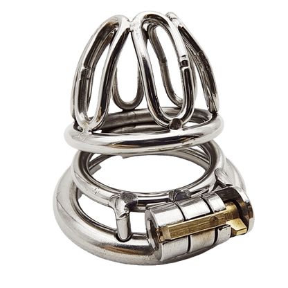 Small Stainless Steel Male Chastity Device