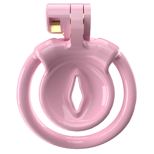 Super Small XX-1 Sissy Chastity Cage With 5 Arc Rings