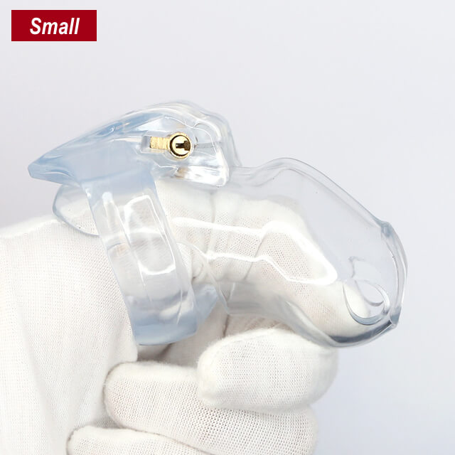 The Small-Sung V4 Chastity Device 3.35 Inches Long