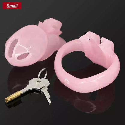 The Small-Sung V4 Chastity Device 3.35 Inches Long