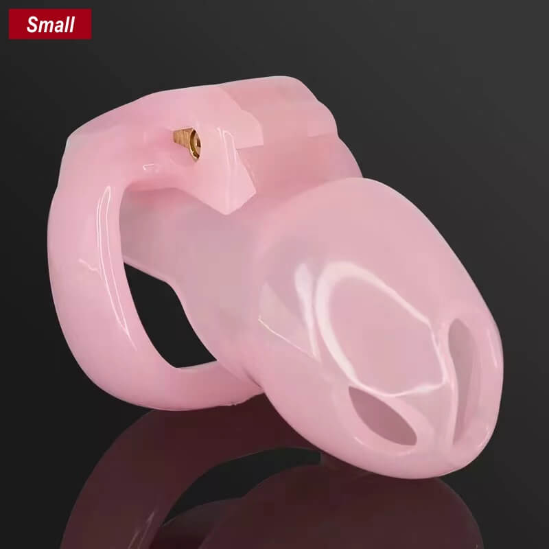 The Small-Sung V4 Chastity Device 3.35 Inches Long