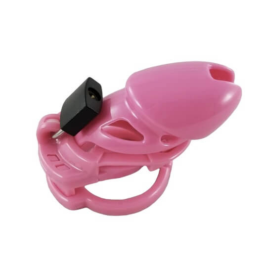 The Vice Chastity Cage I Standard