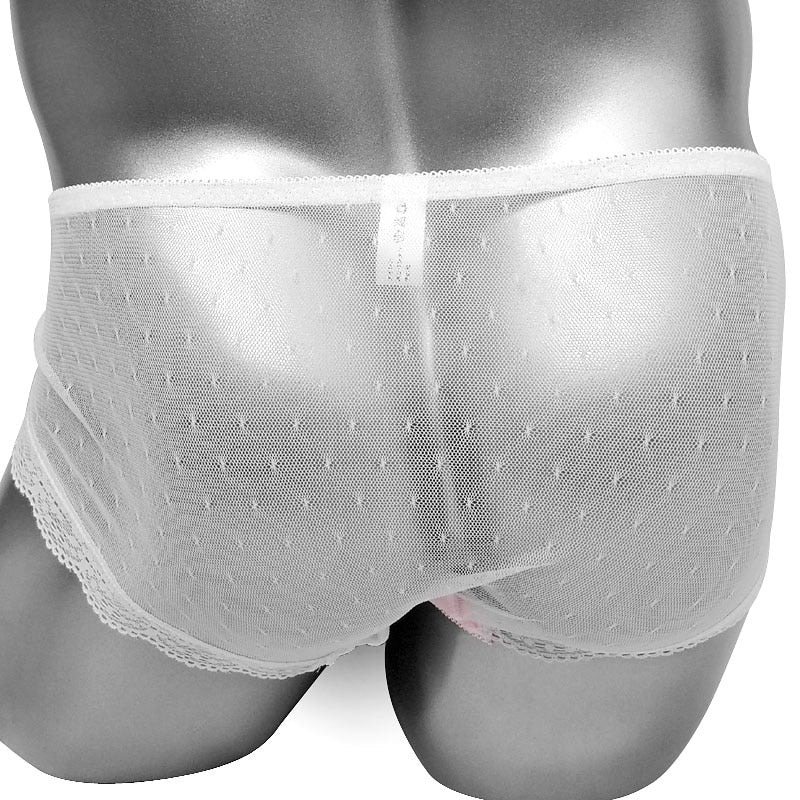 Delicate Mesh Sissy Panties - Sissy Lux